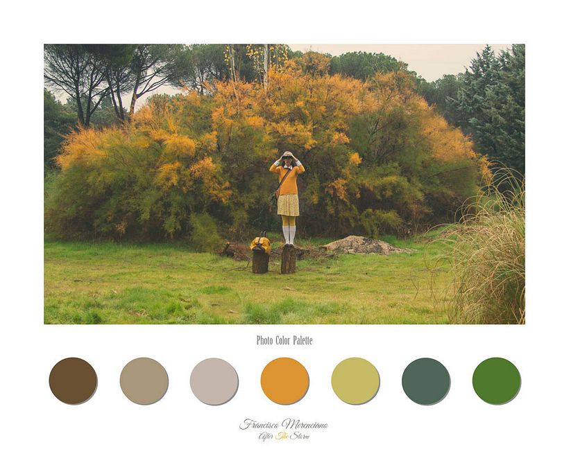 Fotografía inspirada en las películas de Wes Anderson 4