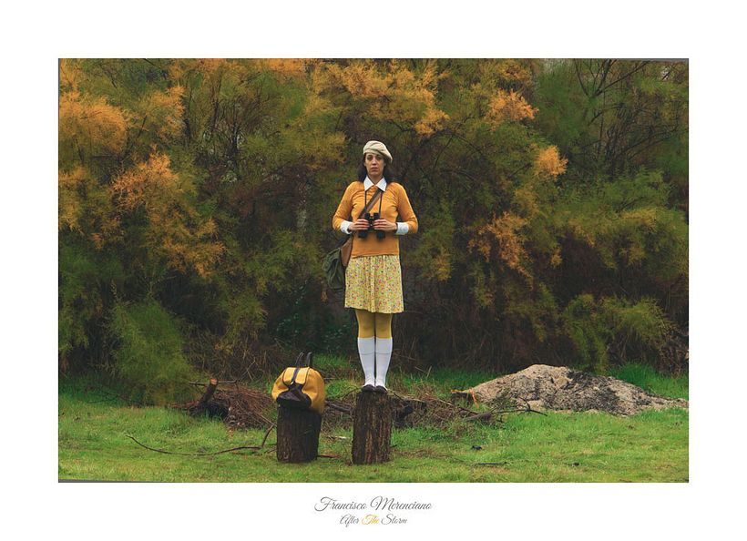 Fotografía inspirada en las películas de Wes Anderson 7