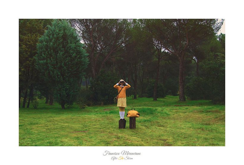 Fotografía inspirada en las películas de Wes Anderson 11