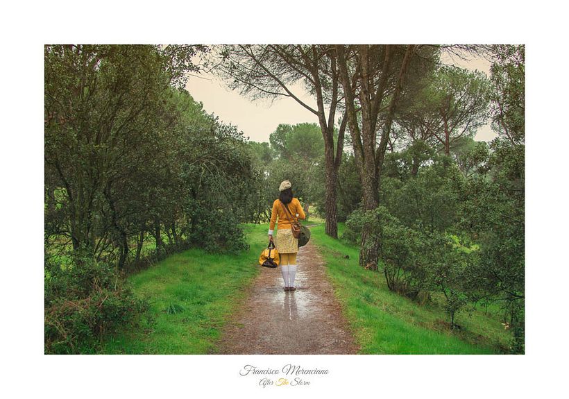 Fotografía inspirada en las películas de Wes Anderson 12