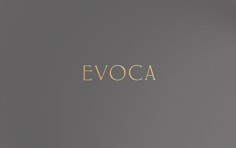 Evoca Editörlüğü 0