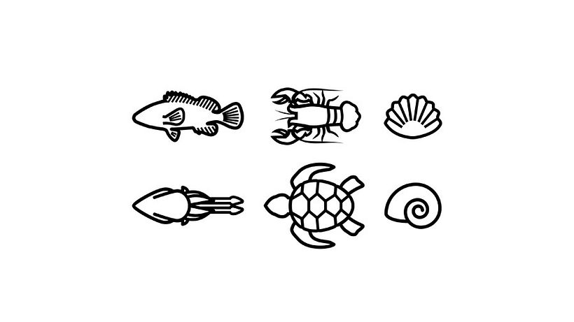 Food History 4