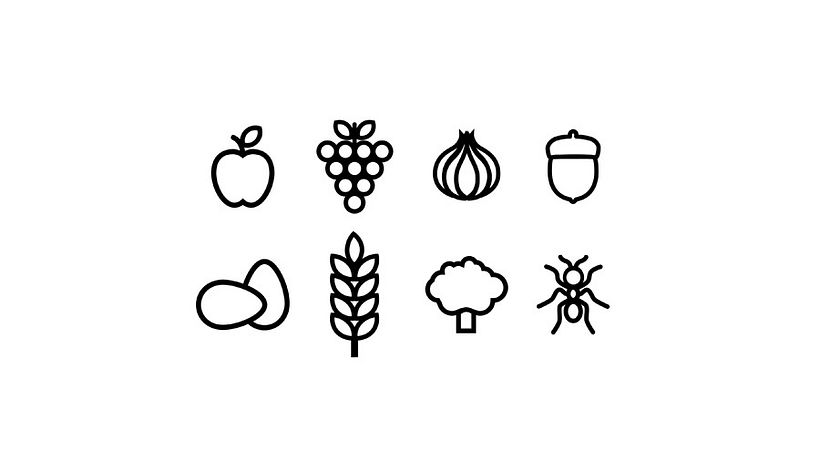 Food History 5