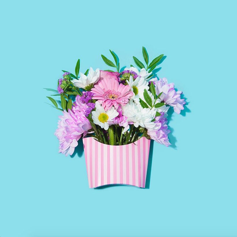 Vanessa McKeown fotografía el arte de lo mundano 19