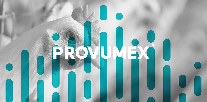 Provumex 6