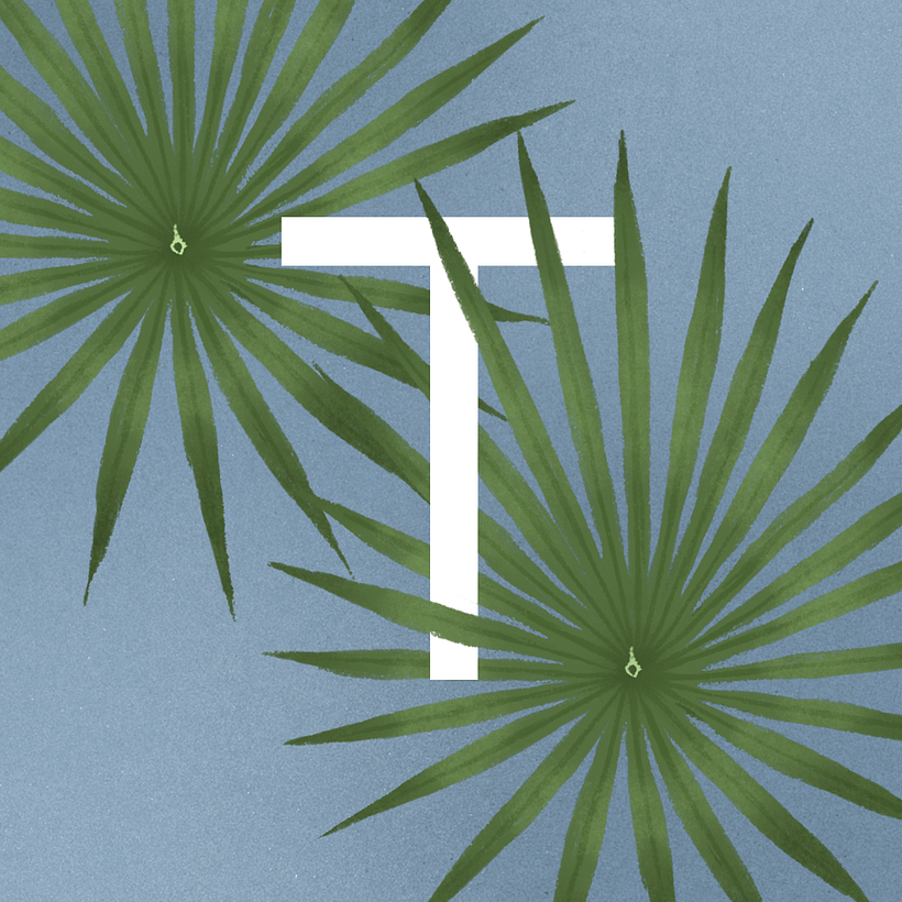 Illustration + Type 'nature' - Traditionelle Illustration