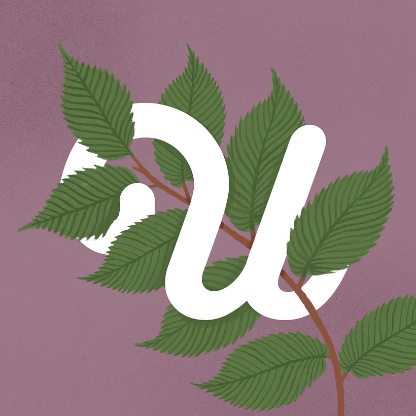 Illustration + Type 'nature' - Traditionelle Illustration
