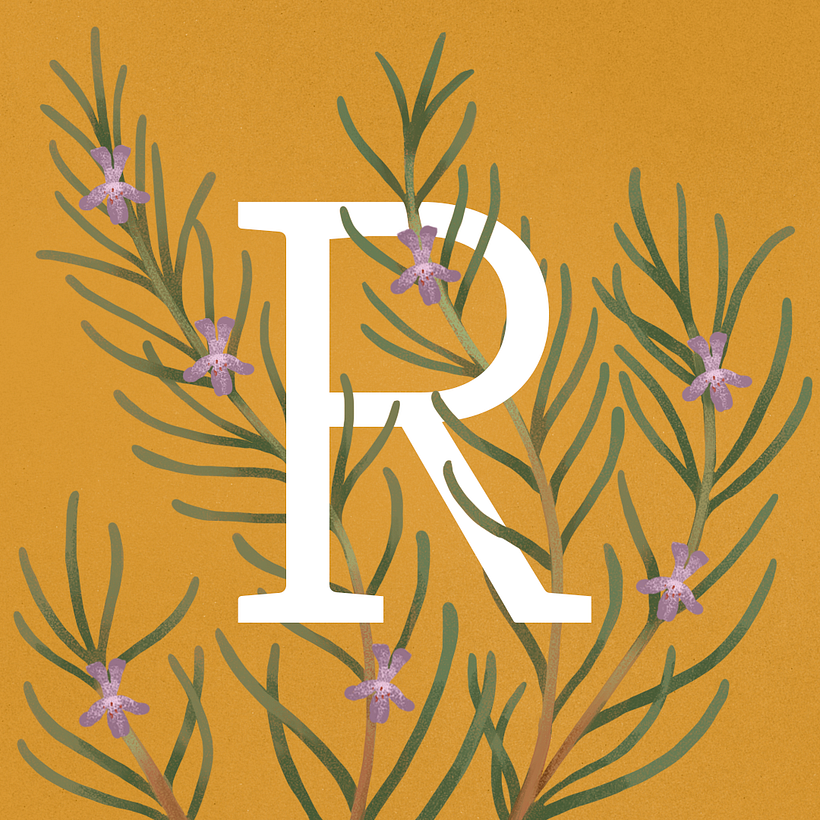 Illustration + Type 'nature' - Traditionelle Illustration