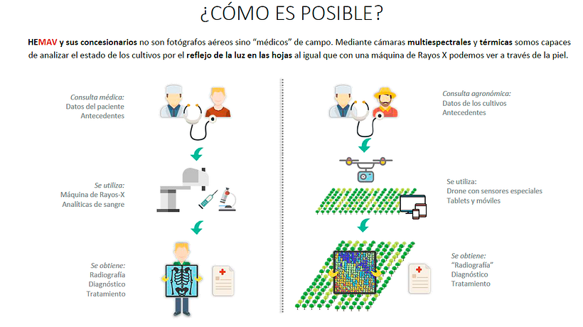 HEMAV busca un/a ilustrador/a para colaboraciones puntuales 1