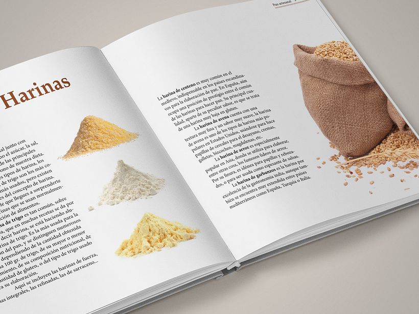 Libro de cocina: Pan artesanal 0