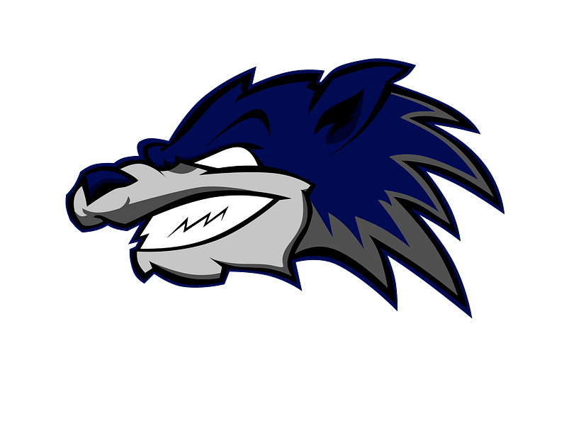 Mascot Logo 0