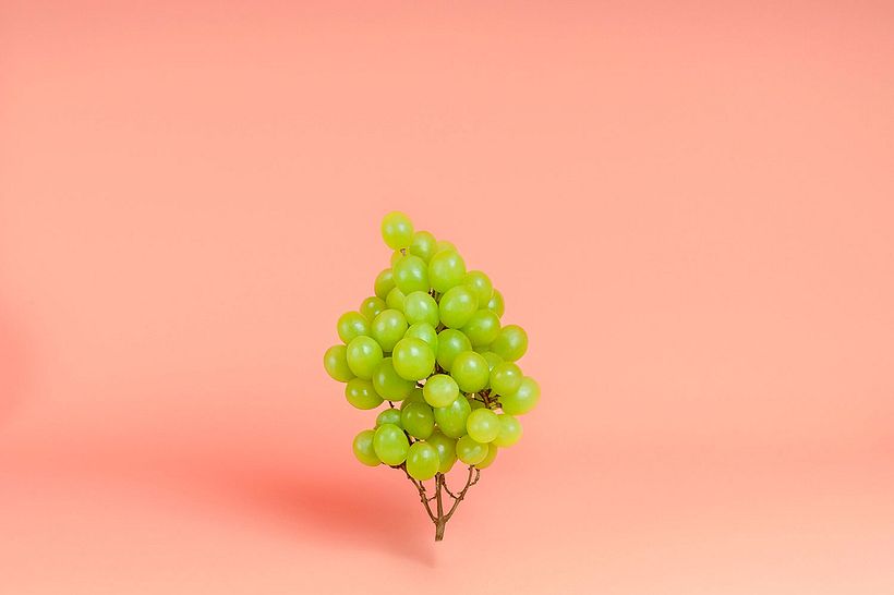 Marion Luttenberger: fotografía y gastronomía 12