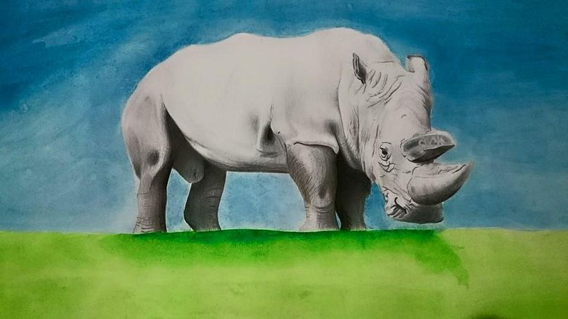 Dibujos -  Ontwerp