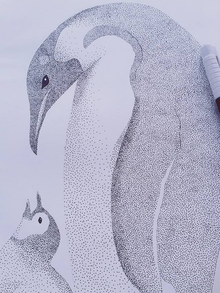 Dibujos -  Ontwerp