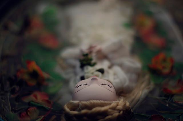 Doll Photography 5
