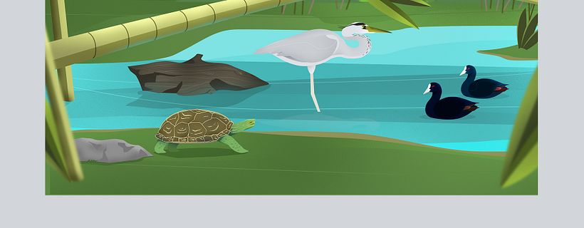 ·WWF DRAGADOS· - Traditionelle Illustration