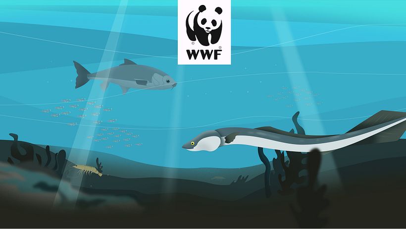 ·WWF DRAGADOS· - Traditionelle Illustration