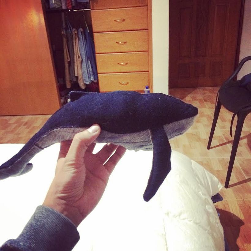 ballena -1