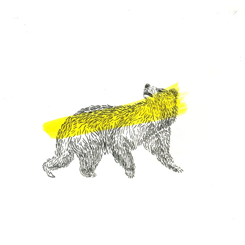 Animals 0