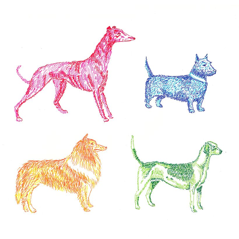 Animals 1