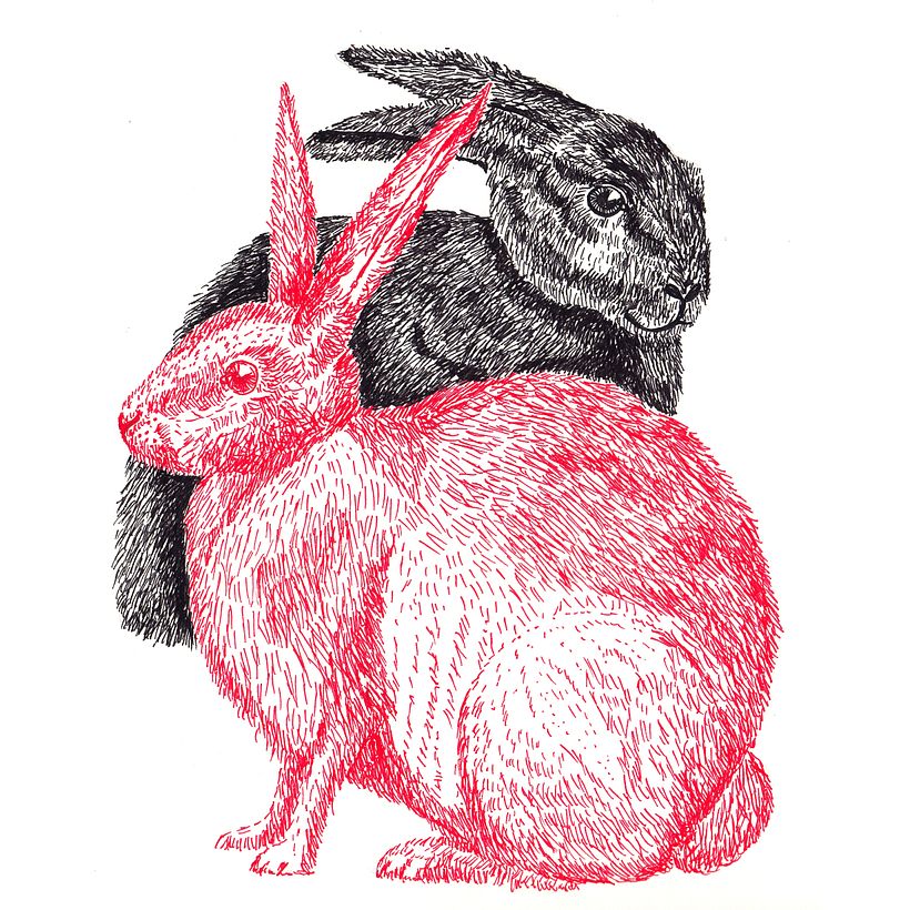 Animals 2