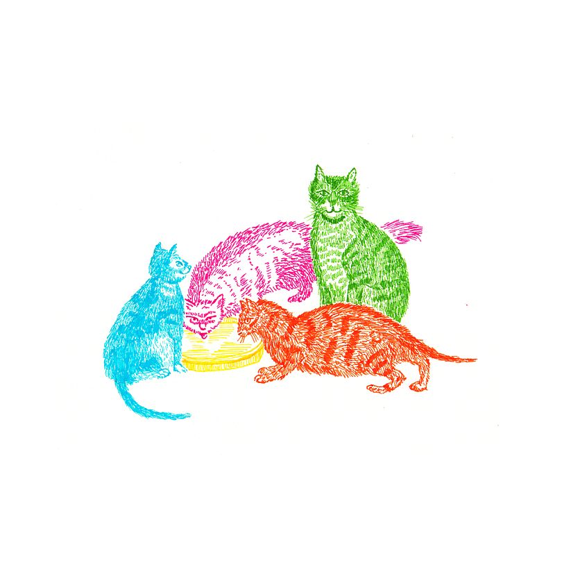 Animals 3