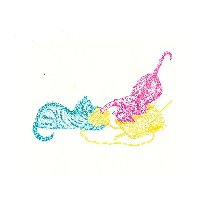 Animals 5