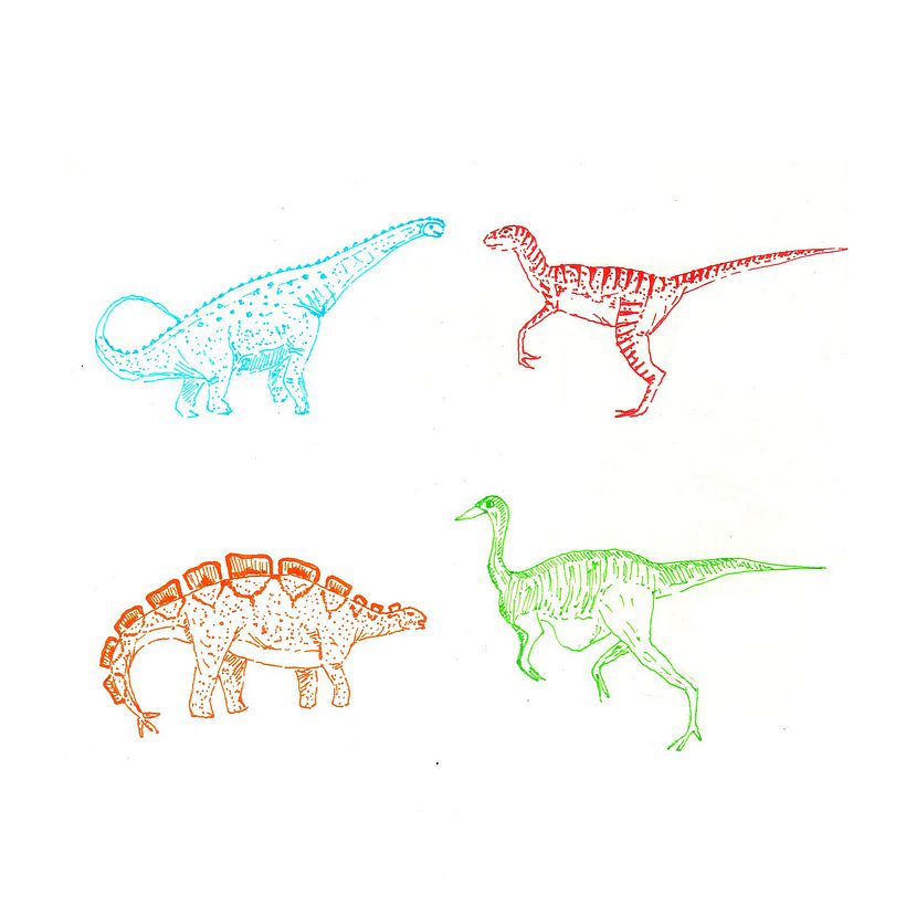 Animals 6