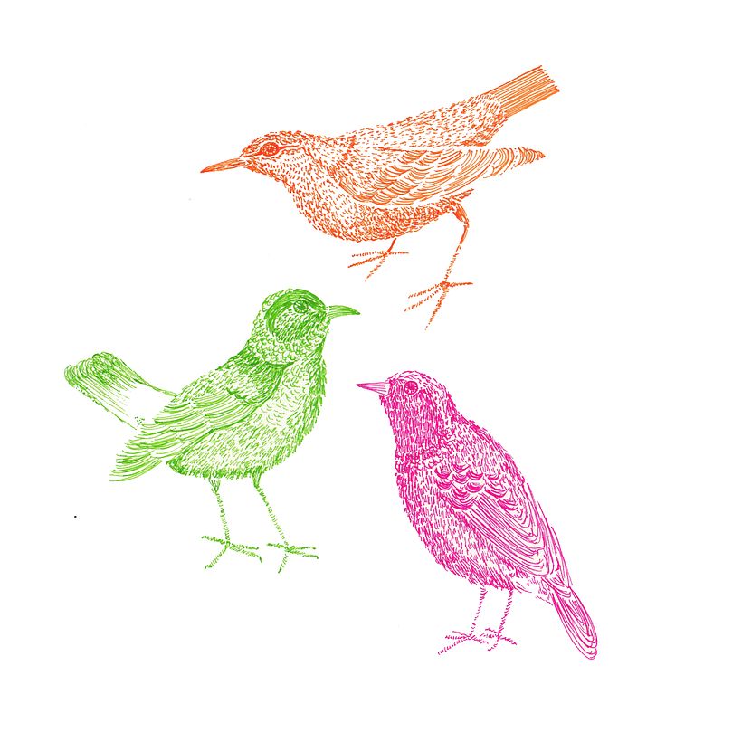 Animals 7