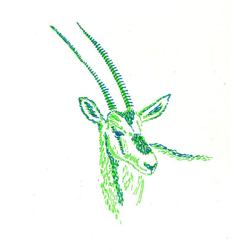 Animals 8