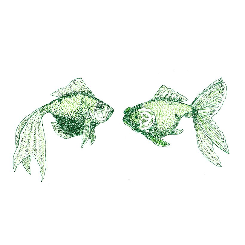 Animals 11