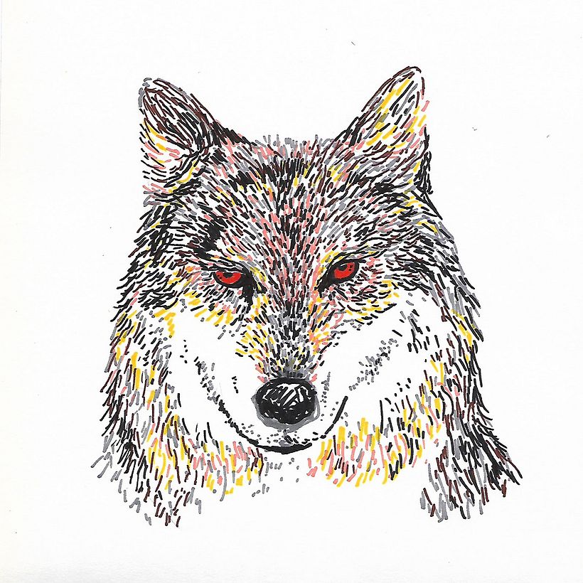 Animals 12