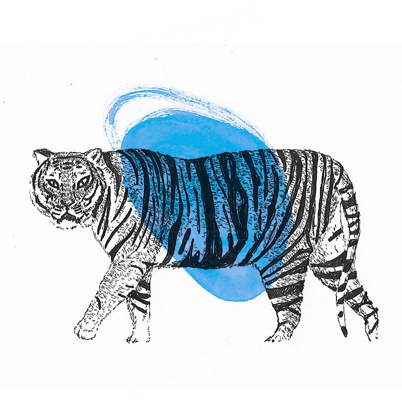 Animals 14