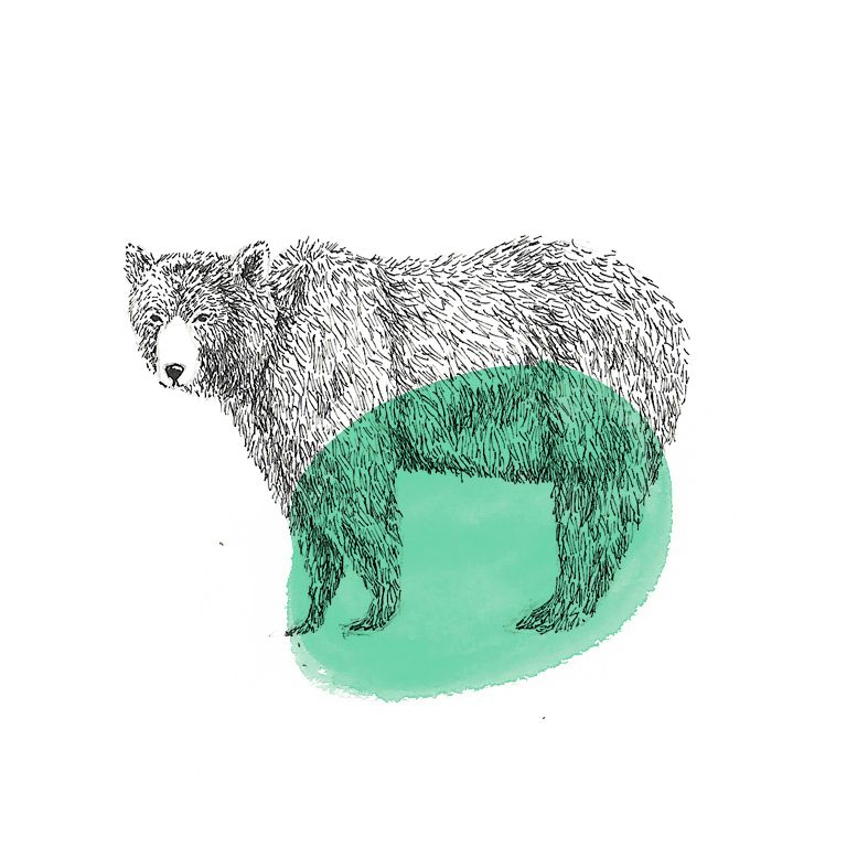 Animals 16