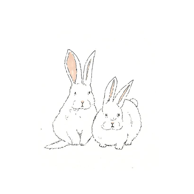 Animals 17