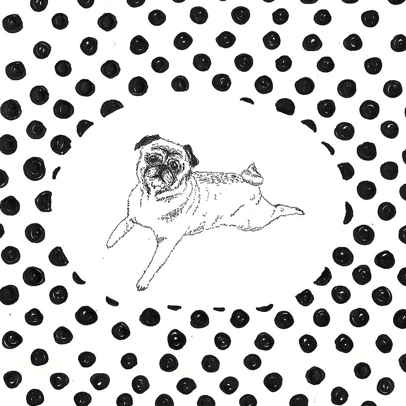Animals 18