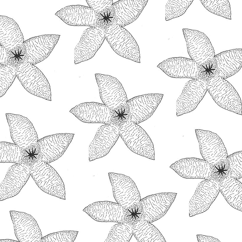 Plants  3