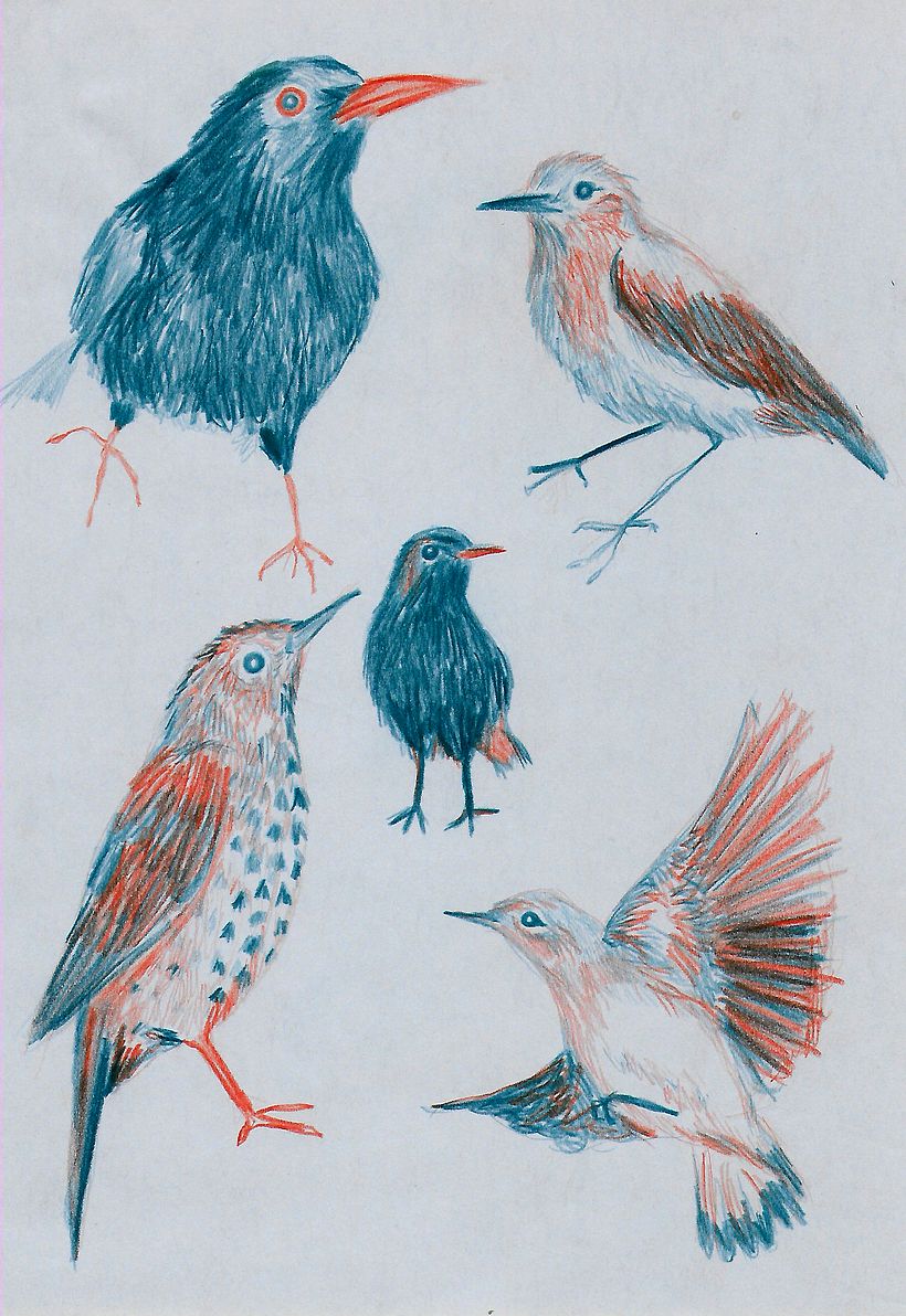 Animals 18