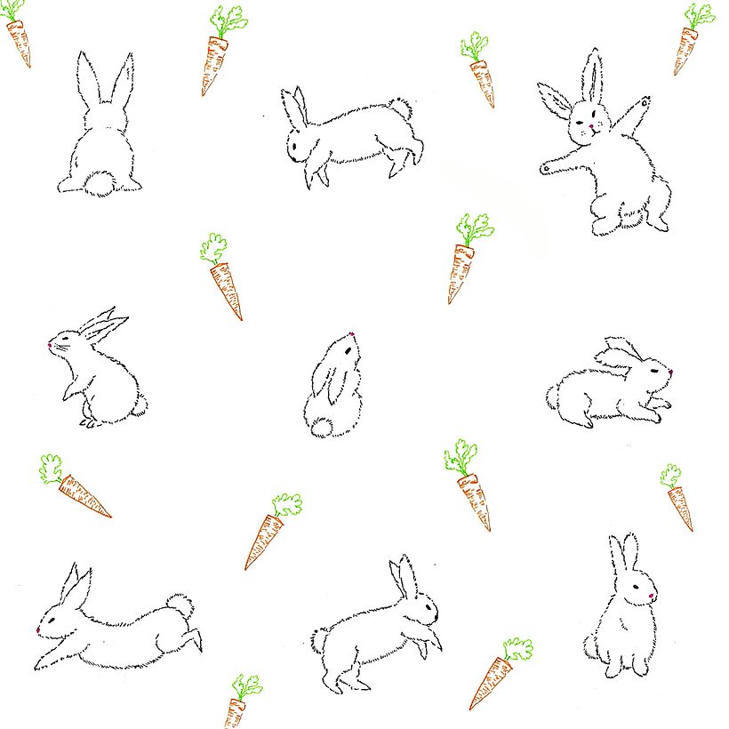 Animals 19
