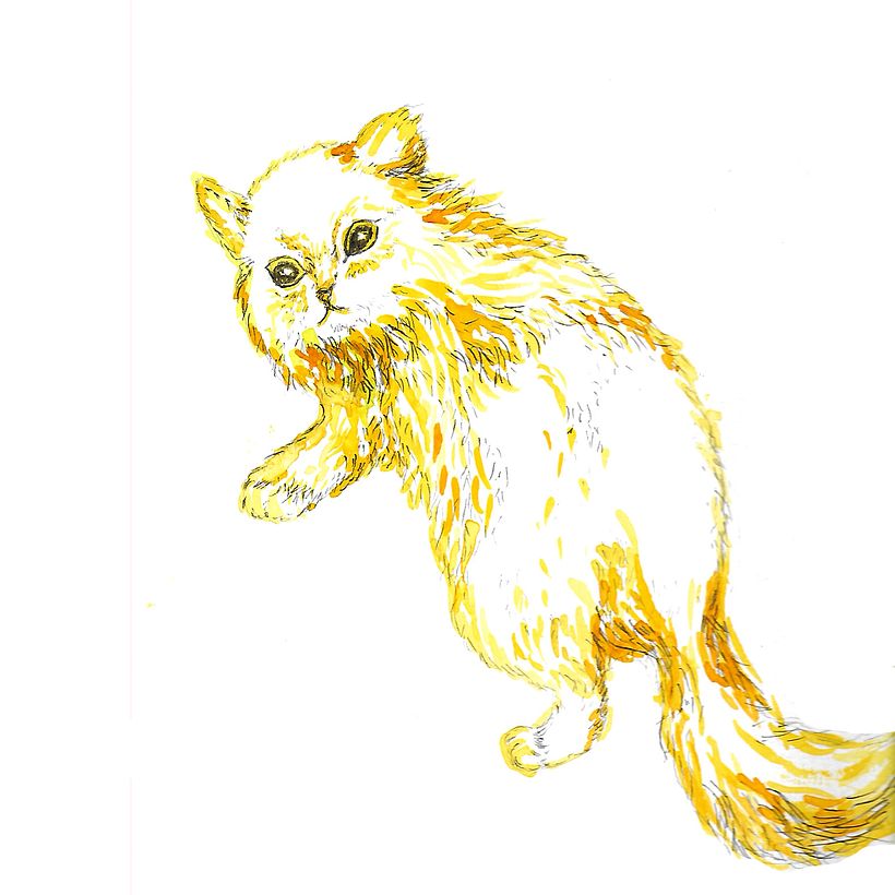 Animals 21