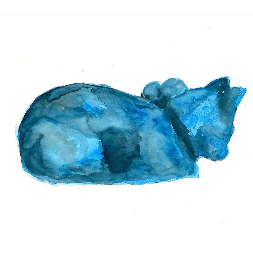 Animals 22