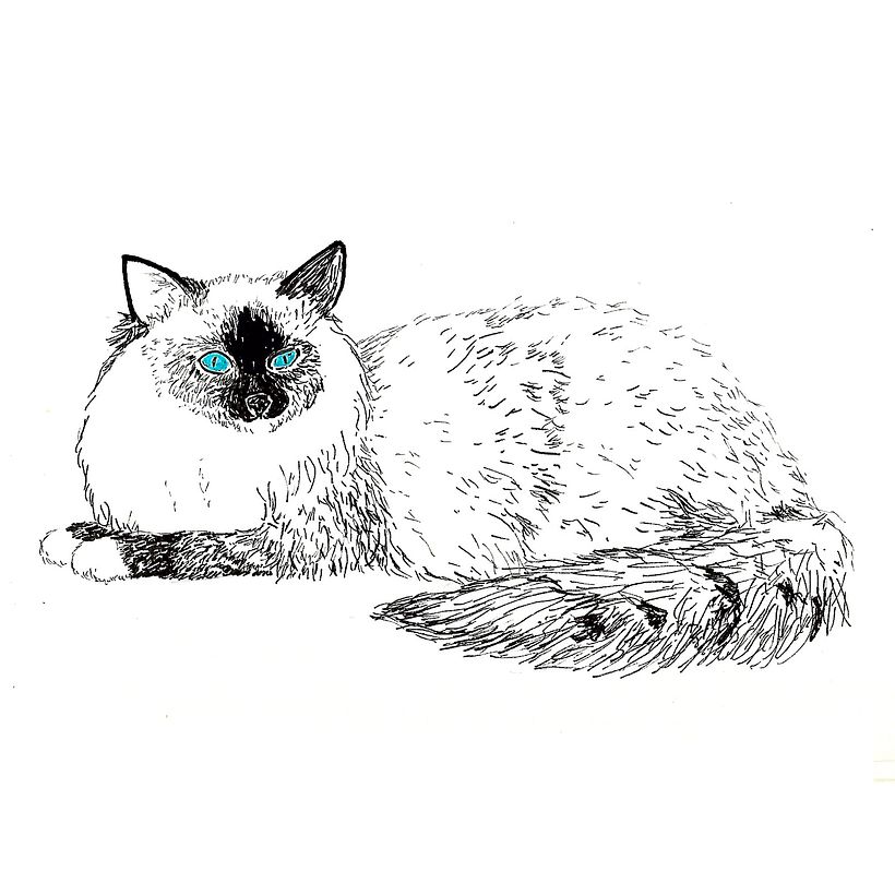 Animals 23