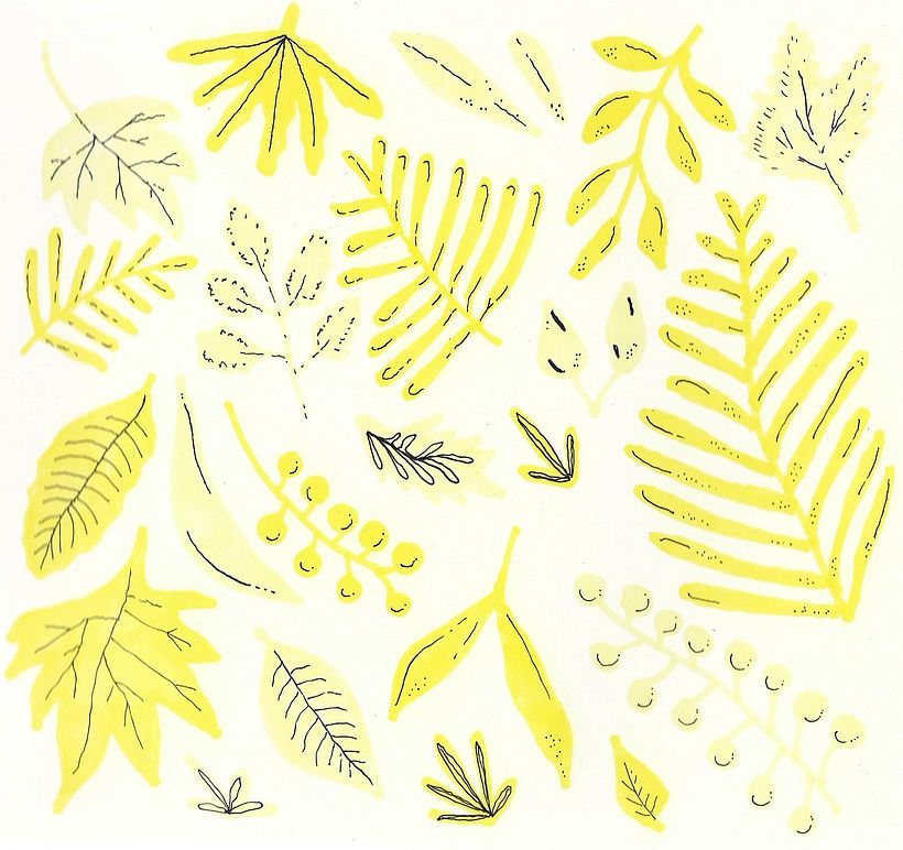 Plants  7