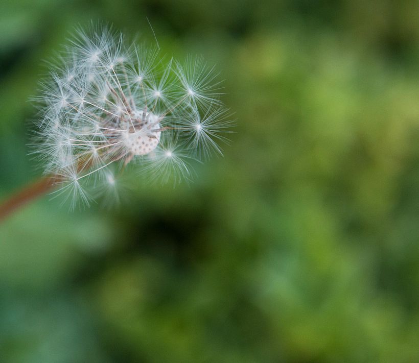 Gone with the wind -1