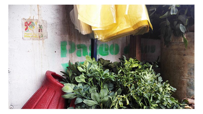 Identidad Paseo de los Yuyos - Mercado Nº 4  de Asunción. 2