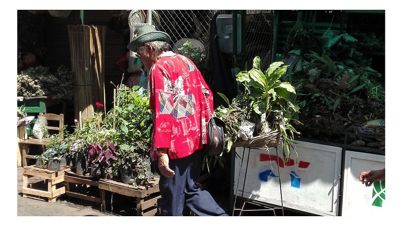 Identidad Paseo de los Yuyos - Mercado Nº 4  de Asunción. 7