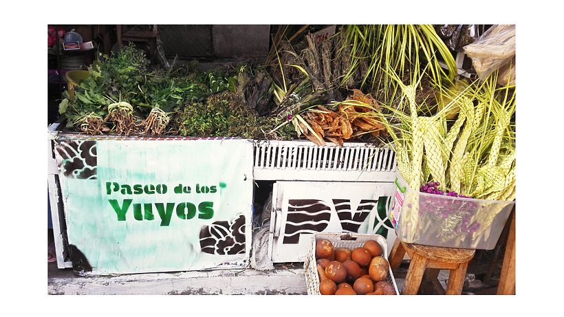 Identidad Paseo de los Yuyos - Mercado Nº 4  de Asunción. 8