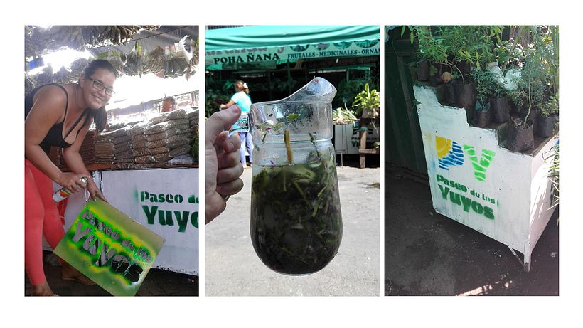 Identidad Paseo de los Yuyos - Mercado Nº 4  de Asunción. 9