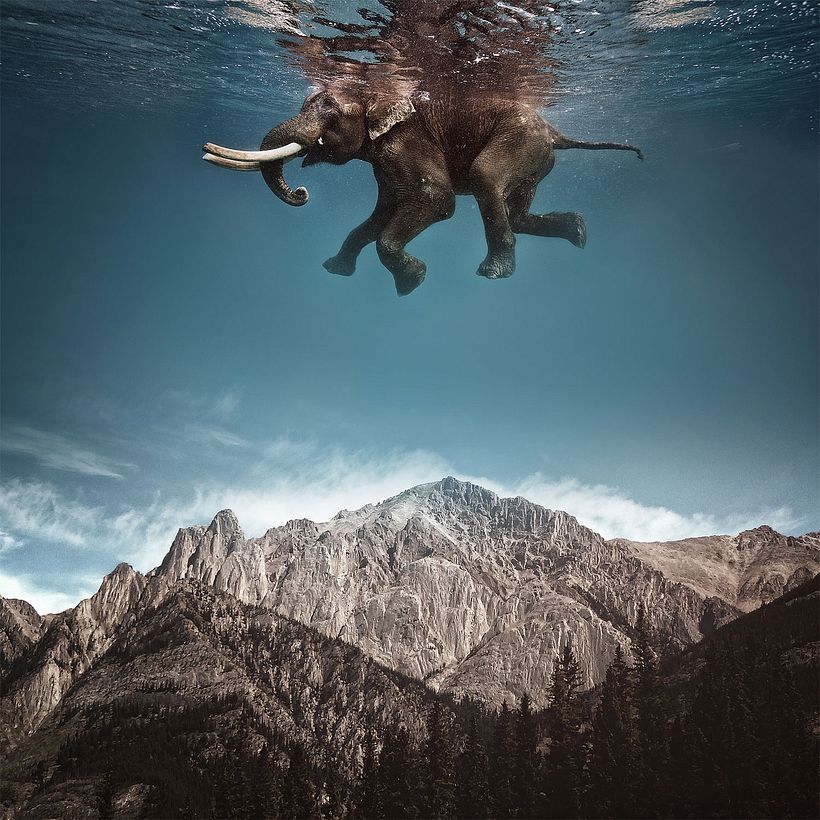 Karen Cantuq reinventa la naturaleza con sus collages fotorrealistas 5
