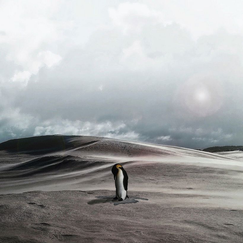 Karen Cantuq reinventa la naturaleza con sus collages fotorrealistas 6